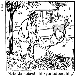 marmaduke